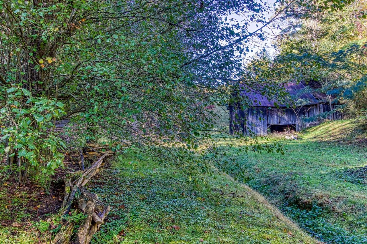 Cozy Creek Cabin Pigeon Forge Esterno foto