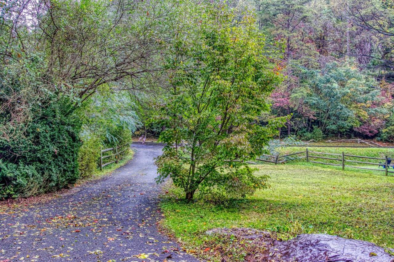 Cozy Creek Cabin Pigeon Forge Esterno foto