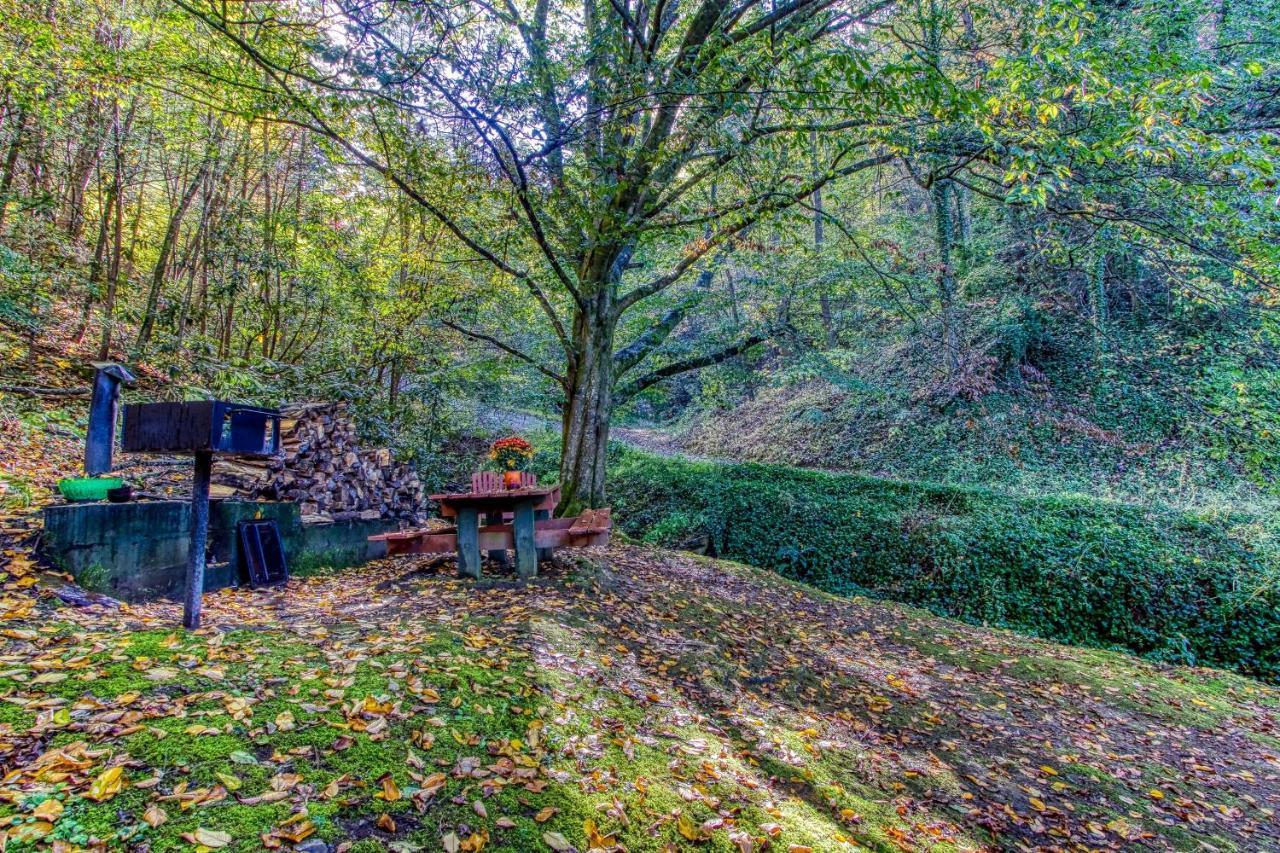 Cozy Creek Cabin Pigeon Forge Esterno foto