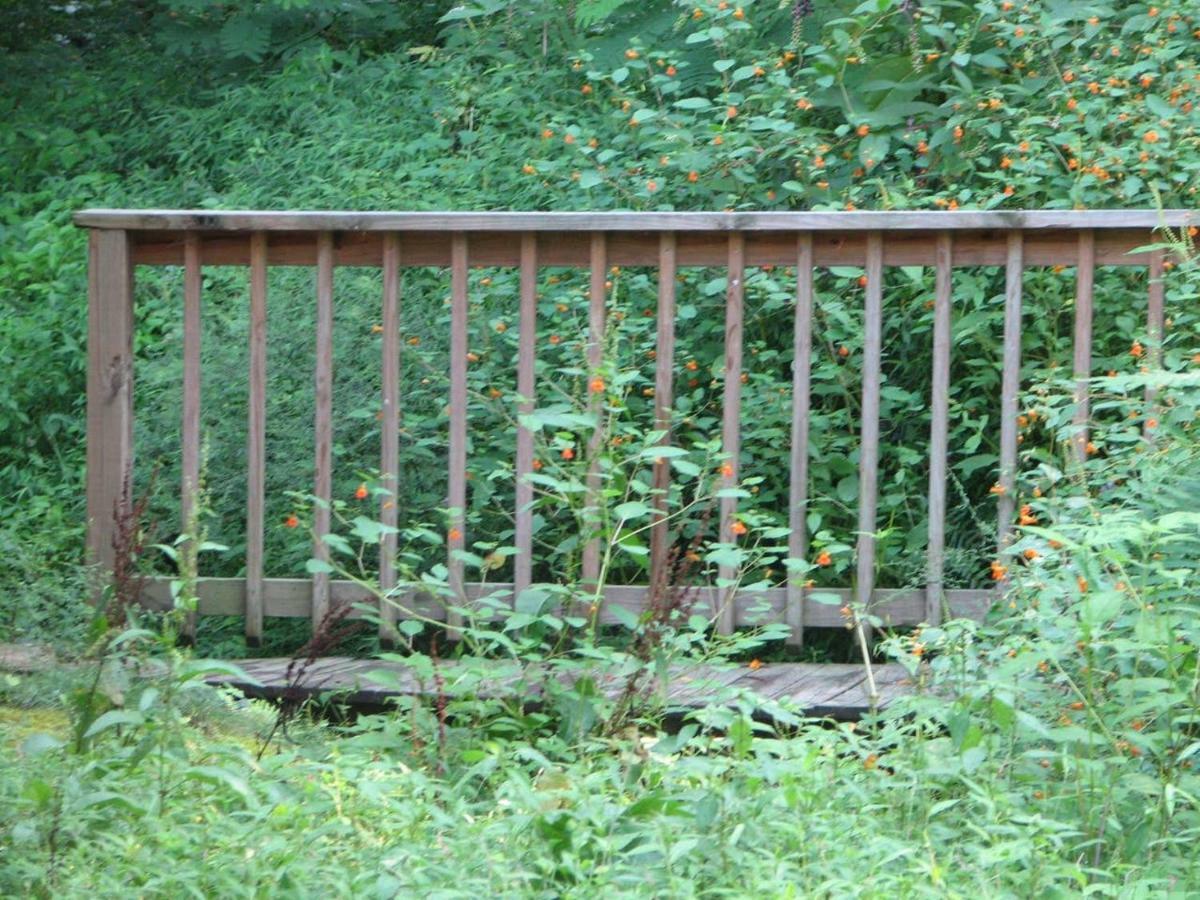 Cozy Creek Cabin Pigeon Forge Esterno foto