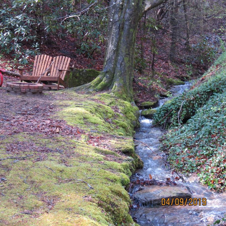 Cozy Creek Cabin Pigeon Forge Esterno foto