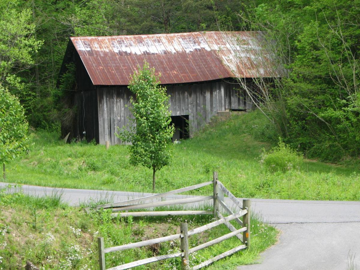 Cozy Creek Cabin Pigeon Forge Esterno foto